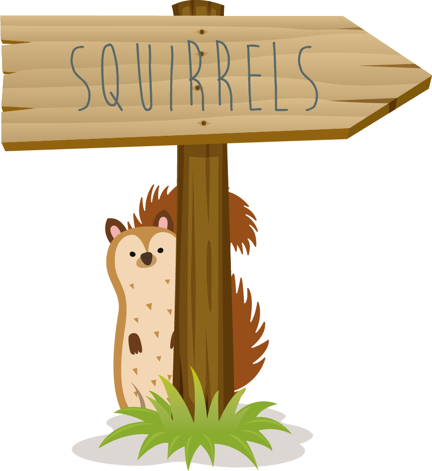 squirrels sign